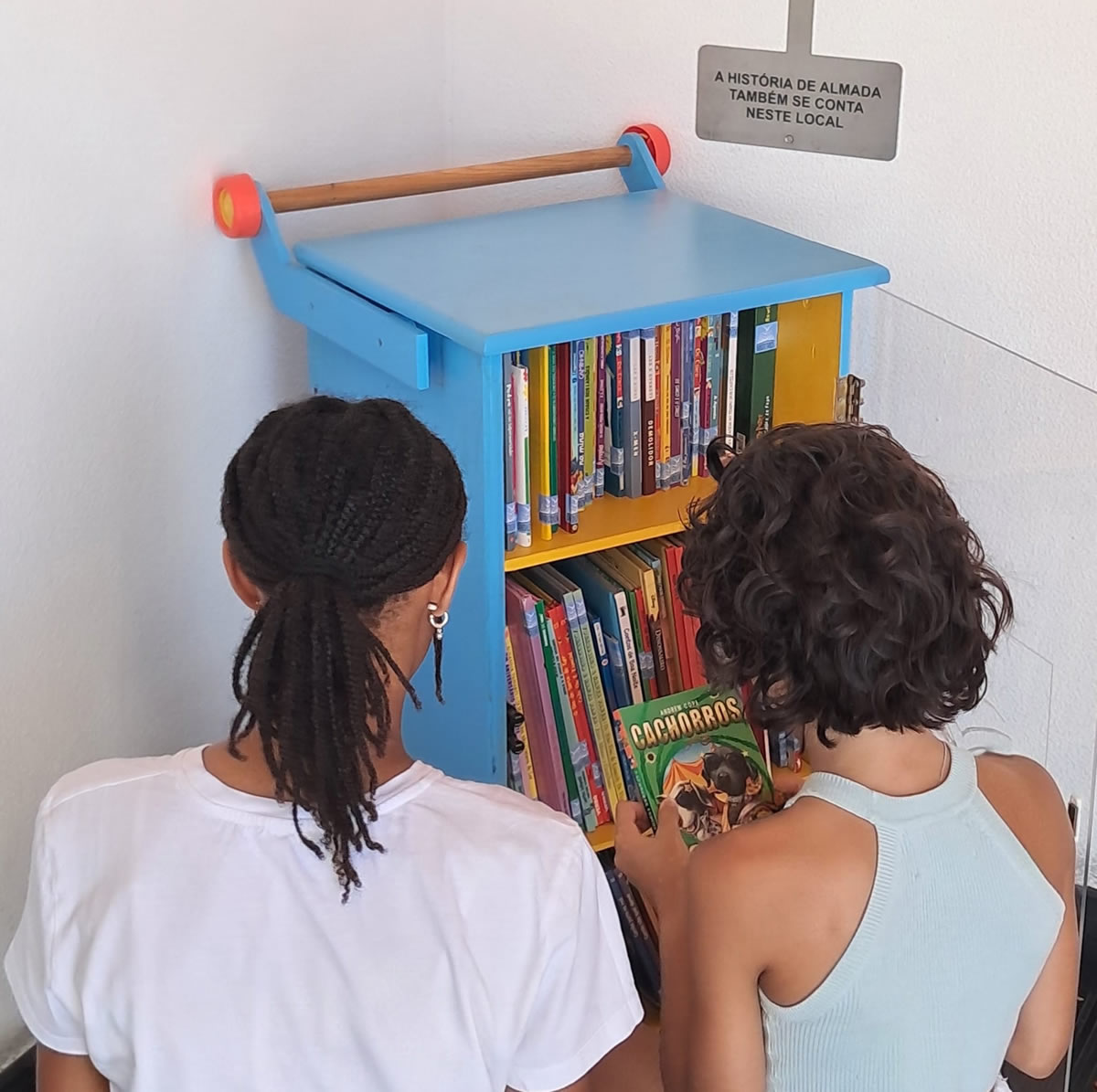 Biblioteca Móvel - O Rodinhas